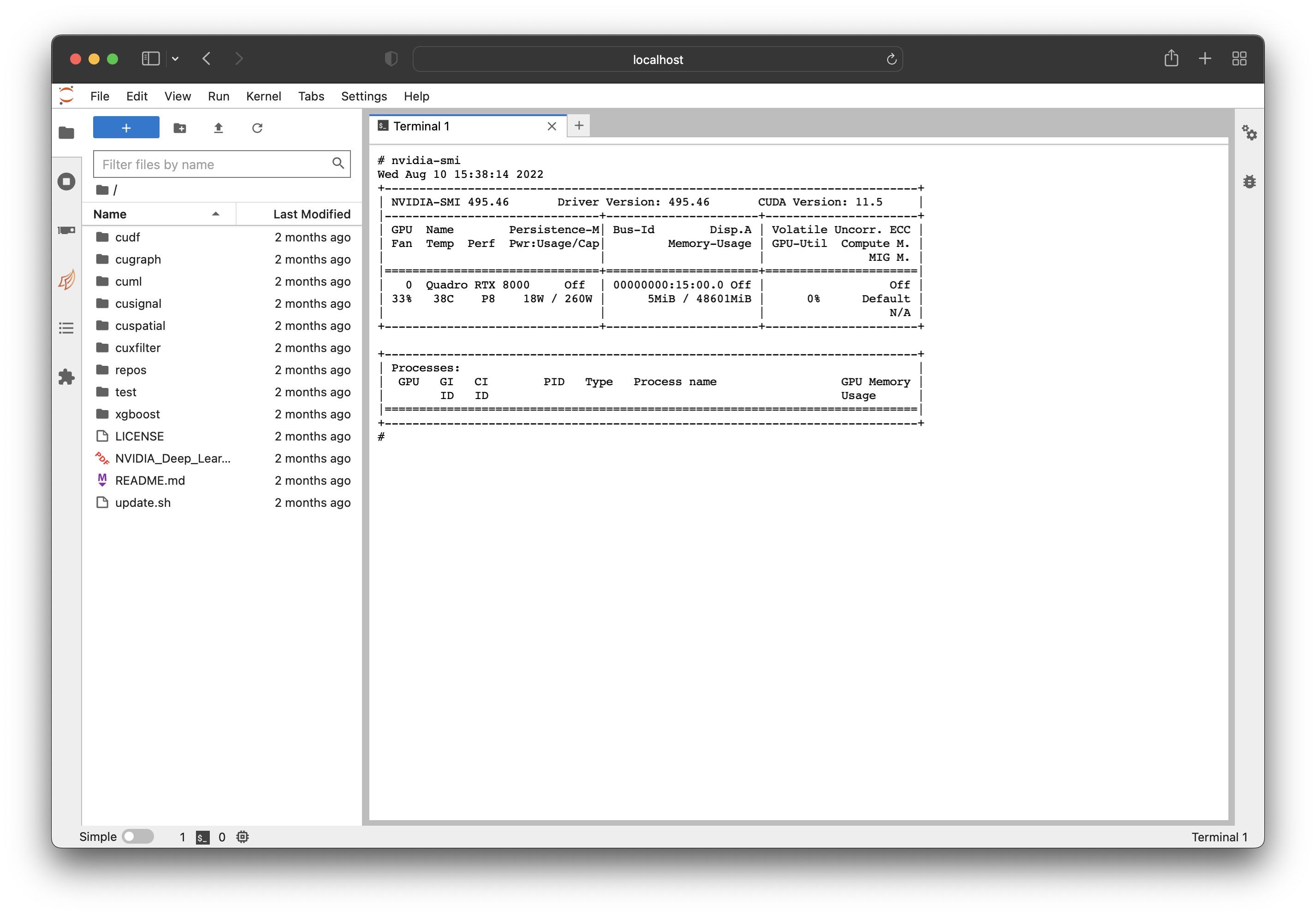 Screenshot of the RAPIDS container running Jupyter showing the nvidia-smi command with a GPU listed